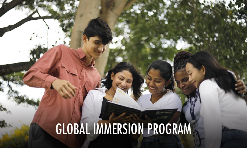 global-immersion-pgms