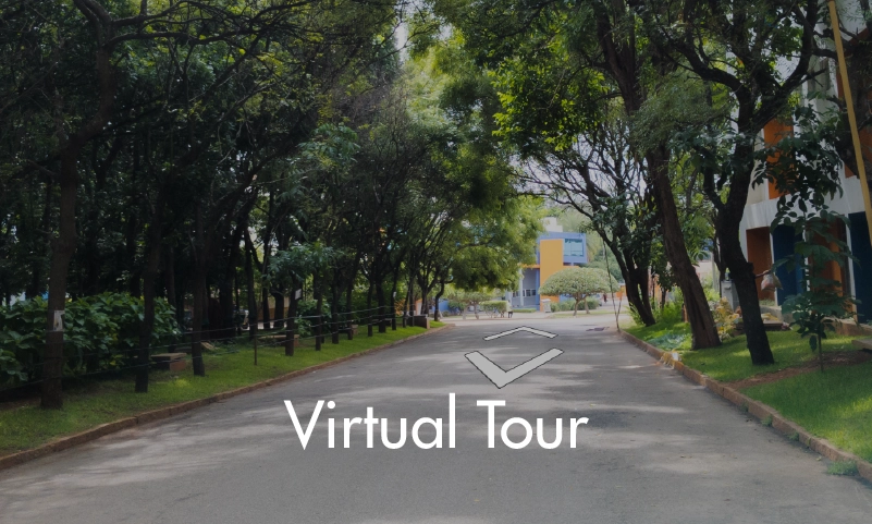 virtual-tour